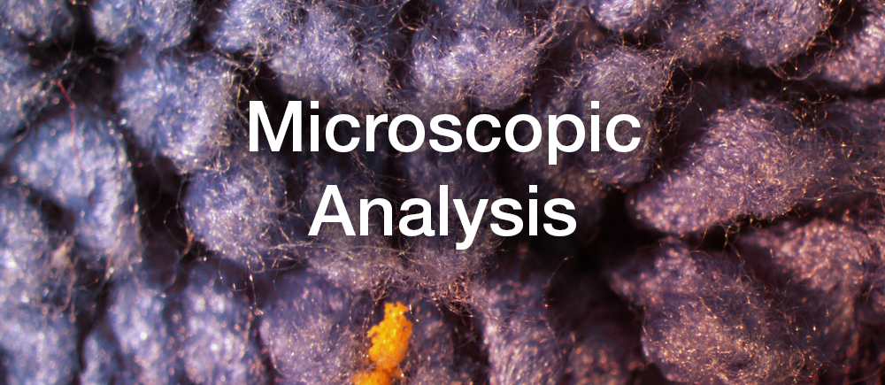 Mop Microscopic research post header image